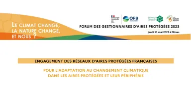 image de décoration (vignette de couverture)