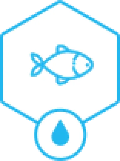 image de décoration (logo)