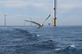 Photo d'un parc d'éoliennes en mer