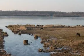 Photo de la réserve de chasse et de faune sauvage de la Grand'mare (Eure)