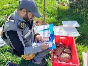 Photo montrant un agent de l'OFB avec des tortues saisies car détenues illégalement en Loire-Atlantique