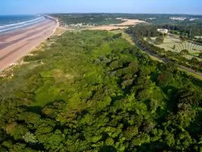 Photo illustrant le projet Mission Nature de restauration des dunes d'Omaha beach