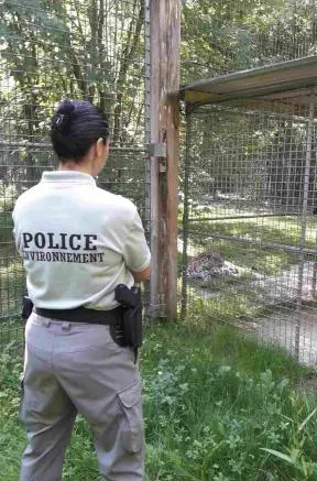 Une inspectrice de l'environnement, habillée en tenue de police de l'environnement grise, se tient dos à nous les bras croisés devant une cage dans un zoo. On voit de l'herbe, et des arbres autour de la cage. Dans la cage, un félin type léopard est allongé.