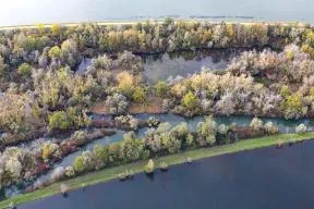 La réserve naturelle nationale de l'île de Rhinau : mosaïque de milieux forestiers, herbacés et aquatiques, un véritable réservoir de biodiversité.