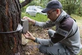 Installation d'un piège photo contre un arbre