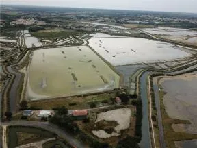 Photo aérienne de la Réserve de chasse et de faune sauvage de Chanteloup