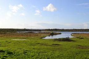 Photo de la réserve de chasse et de faune sauvage de la Grand'Mare
