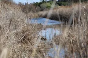 Photo de la Réserve naturelle nationale de l’Estagnol