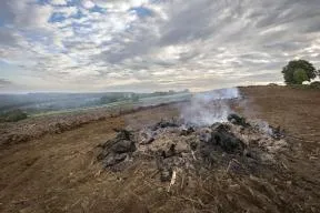 Exploitation forestière impactante pour le milieu naturel : coupe à blanc, brulage des rémanents (restes de branches ou de troncs abandonnés par les exploitants), dessouchage.