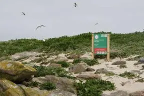 Panneau de signalisation indique aux usagers la réglementation en vigueur dans la Réserve naturelle nationale d'Iroise