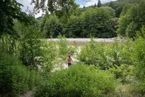 Parfum d'Aventures dans la forêt de la Vallée de Mialet