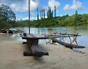 Photo d'une pirogue traditionnelle sur une plage de l'ile des Pins