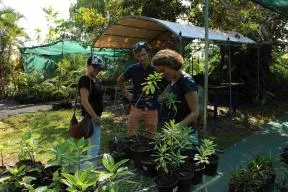 Les porteurs de projet Jasmin Mangua entourés de leur pépinière