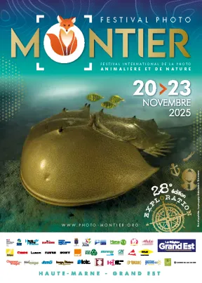 Flyer Montier en Der