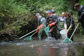 Photo de plusieurs agents de l'OFB en train d'effectuer une pêche électrique sur un cours d'eau