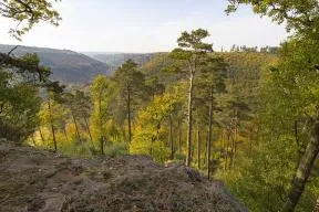 Photo de la Réserve nationale de chasse et de faune sauvage de la Petite-Pierre
