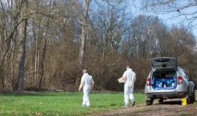 Photo de deux agents de l'OFB en tenue de biosécurité prenant des photos de l'environnement proche d'un sanglier retrouvé mort, en vue d'une autopsie prévue dans le cadre du suivi de la peste porcine africaine