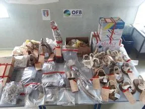 Photo d'une saisie dans une salle des ventes de l'Eure