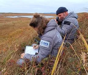 Deux agents de l'OFB sont dans l'herbe pour une opération de suivi des limicoles. Crédit photo : Clémence Gabarros