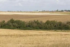 Photo d'un champ agricole en Centre-Val de Loire