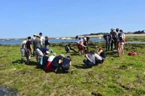 Séminaire sur les récifs d’hermelles