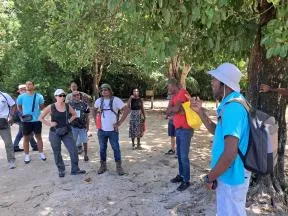 La Communauté de communes de Marie-Galante, lauréate Territoires engagés pour la nature, présente son action phare Biodiv'Tour aux collectivités de Guadeloupe