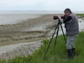 Un agent de l'OFB regarde dans une jumelle pour compter les oiseaux dans la Réserve naturelle nationale de la Baie de l'Aiguillon