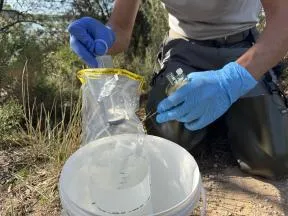 Prélèvement ADNe d'odonates