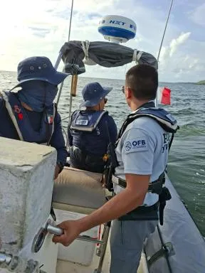 Inspecteurs de l'environnement de l'OFB en Martinique (Parc naturel marin et Service départemental) effectuant des contrôles en mer.
