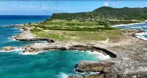 La Pointe Colibri à la Désirade, habitat de l'Iguane des Petites-Antilles, fait l'objet d'une opération de restauration par l'ONF, dans le cadre de Mission nature
