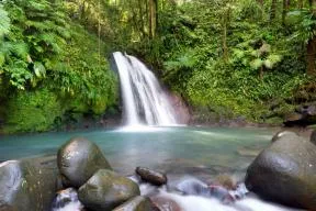 La cascade aux écrevisses dans le Parc national de Guadeloupe