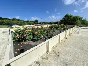 Station de traitement des eaux usées par filtres plantés de végétaux à Marie-Galante