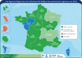 Carte de l'état d'engagement des partenariats régionaux biodiversité avec l'OFB en 2025