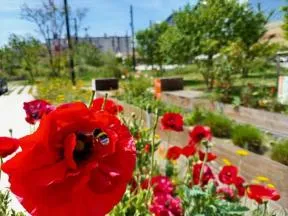 photo SPIE BATIGNOLLES