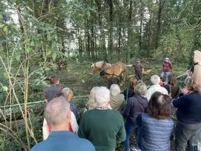 Présentation d'un cheval de débardage avec son équipement par son propriétaire devant des visiteurs lors des Journées du patrimoine 2025 en Centre-Val de Loire