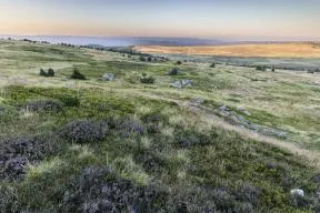 Paysage de vallons à 1600-1700 mètres avec le Mont Lozère, situé au cœur du Parc national des Cévennes. Photo prise au moment du coucher du soleil, offrant de beaux contrastes de couleurs.