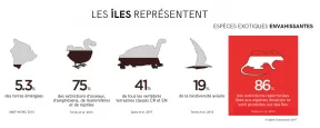 Infographie : voir description