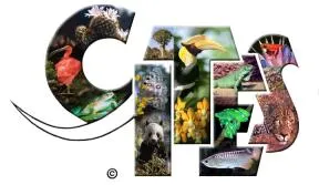 Logo de la CITES ( Convention sur le commerce international des espèces de faune et de flore sauvages menacées d'extinction)