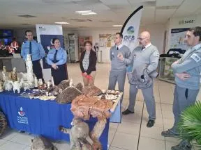 Photo de l'exposition avant incinération de marchandises issues du trafic d'espèces animales protégées (objets en ivoire, carapaces de tortues marines, peaux de reptiles, animaux empaillés...). Sont présents sur la photo des agents de l'OFB et des douanes..