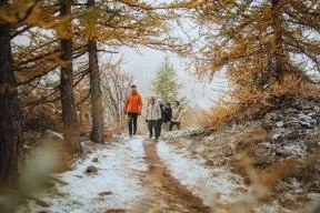 famille en hiver dans les bois
