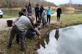 Photo des administratives de l'OFB en Bourgogne-Franche-Comté sur le terrain dans un décor d'étangs destinés à la ranaculture