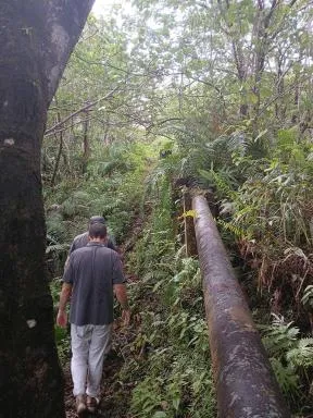 Des hommes marchant à côté d'une canalisation dans la forêt walisienne