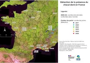 Carte (voir description)