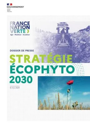 Image de décoration (vignette de couverture)