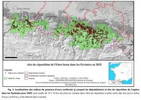 Carte (voir description)