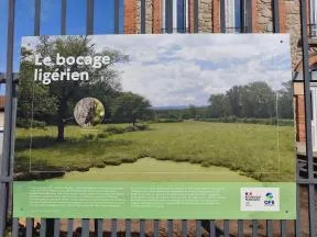 Panneau pédagogique sur lequel figure une photo du bocage ligérien