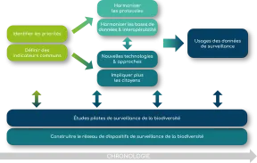 Image complexe, schéma (voir description)