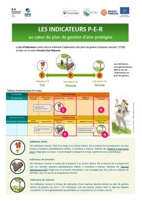 Image de décoration (vignette de couverture, voir lien vers pdf associé)