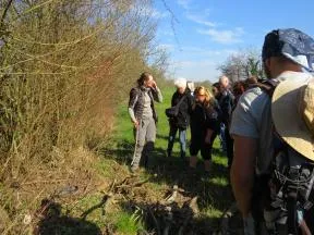 Photo d'une technicienne de l'OFB sur le terrain en présence de public à qui elle montre des indices de présence d'un castor (bois rongé)