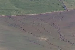 Photo de 2 parcelles agricoles mitoyennes sur un versant pentu : en haut une prairie permanente d'herbe verte, séparée par une cloture d'une parcelle dessous en sol nu (terre marron avec de légers reflets verts dus aux jeunes pousses de semis, rtaversée par des silons creusés formant un réseau)